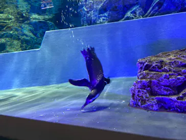 すみだ水族館に投稿された画像（2021/9/30）