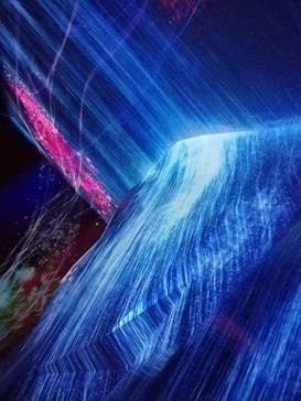 森ビル デジタルアート ミュージアム：エプソン チームラボボーダレスに投稿された画像（2021/9/30）