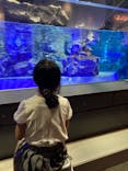 すみだ水族館に投稿された画像（2021/10/1）