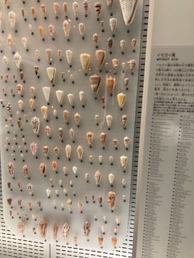 国立科学博物館に投稿された画像（2021/10/1）