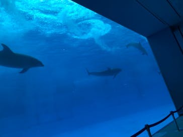 名古屋港水族館に投稿された画像（2021/10/1）