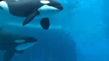 名古屋港水族館に投稿された画像（2021/10/1）