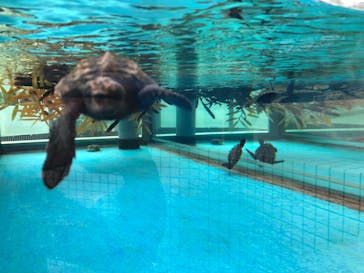 名古屋港水族館に投稿された画像（2021/10/1）