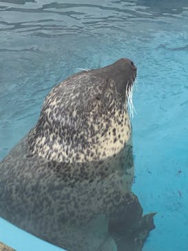 名古屋港水族館に投稿された画像（2021/10/1）