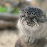 那須どうぶつ王国に投稿された画像（2021/10/1）