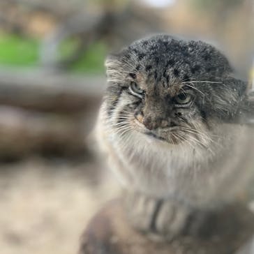 那須どうぶつ王国に投稿された画像（2021/10/1）