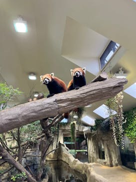 那須どうぶつ王国に投稿された画像（2021/10/1）