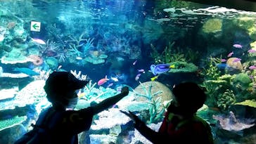 サンシャイン水族館に投稿された画像（2021/10/1）