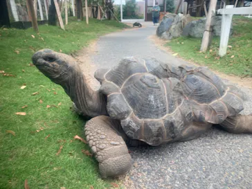 神戸どうぶつ王国に投稿された画像（2021/10/1）