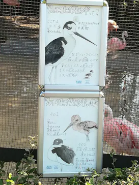天王寺動物園に投稿された画像（2021/10/1）