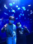 サンシャイン水族館に投稿された画像（2021/10/2）