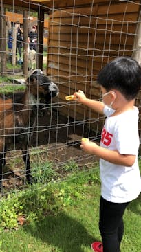 まかいの牧場に投稿された画像（2021/10/2）