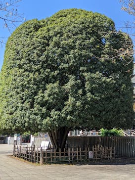 江戸東京たてもの園に投稿された画像（2021/10/2）