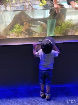 カワスイ 川崎⽔族館に投稿された画像（2021/10/2）