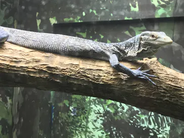 天王寺動物園に投稿された画像（2021/10/2）