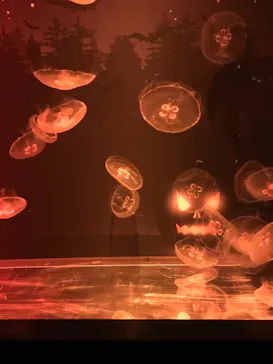 すみだ水族館に投稿された画像（2021/10/2）