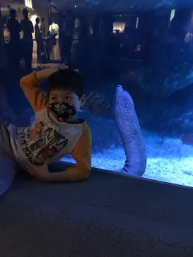 すみだ水族館に投稿された画像（2021/10/2）