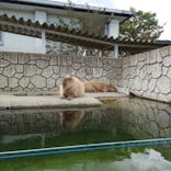 那須どうぶつ王国に投稿された画像（2021/10/2）