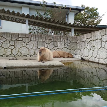 那須どうぶつ王国に投稿された画像（2021/10/2）