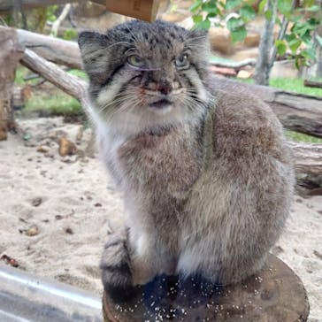 那須どうぶつ王国に投稿された画像（2021/10/2）