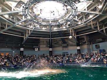 マクセル アクアパーク品川に投稿された画像（2021/10/2）