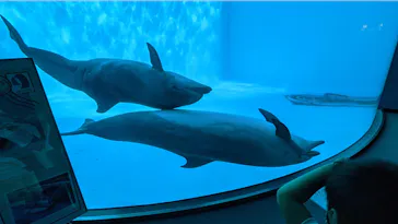 名古屋港水族館に投稿された画像（2021/10/2）