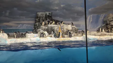 名古屋港水族館に投稿された画像（2021/10/2）