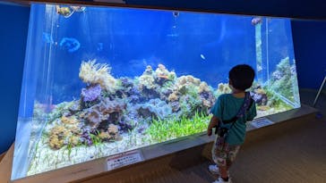 名古屋港水族館に投稿された画像（2021/10/2）