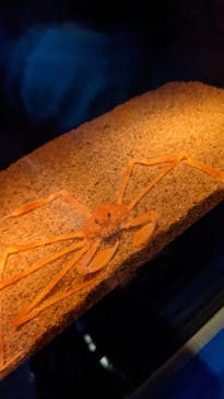 名古屋港水族館に投稿された画像（2021/10/2）