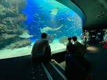 サンシャイン水族館に投稿された画像（2021/10/2）