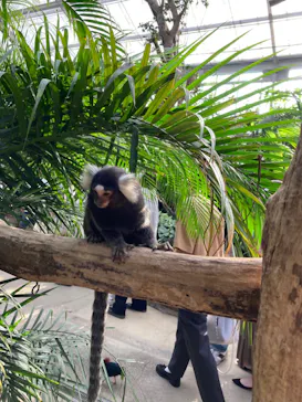 神戸どうぶつ王国に投稿された画像（2021/10/2）