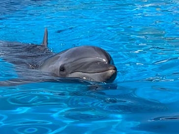 南知多ビーチランド＆南知多おもちゃ王国に投稿された画像（2021/10/2）