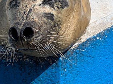 南知多ビーチランド＆南知多おもちゃ王国に投稿された画像（2021/10/2）