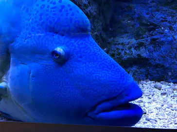 すみだ水族館に投稿された画像（2021/10/2）