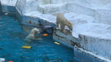 天王寺動物園に投稿された画像（2021/10/2）