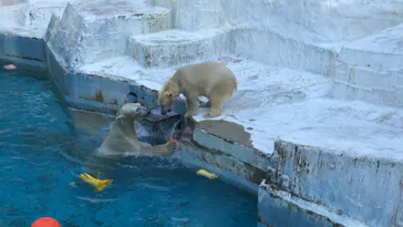 天王寺動物園に投稿された画像（2021/10/2）