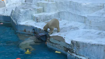 天王寺動物園に投稿された画像（2021/10/2）