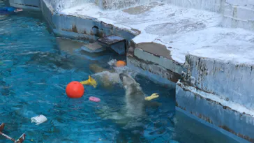 天王寺動物園に投稿された画像（2021/10/2）