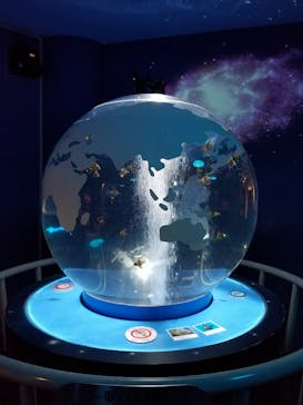 しながわ水族館に投稿された画像（2021/10/2）