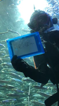サンシャイン水族館に投稿された画像（2021/10/2）