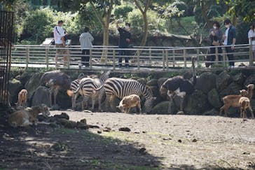 伊豆アニマルキングダムに投稿された画像（2021/10/2）