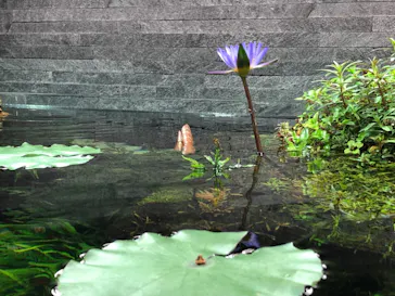 すみだ水族館に投稿された画像（2021/10/2）