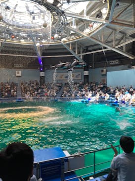 マクセル アクアパーク品川に投稿された画像（2021/10/2）