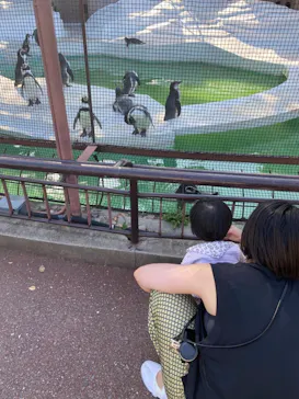 天王寺動物園に投稿された画像（2021/10/2）