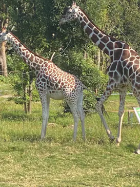 天王寺動物園に投稿された画像（2021/10/2）