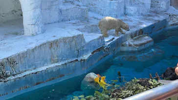 天王寺動物園に投稿された画像（2021/10/2）