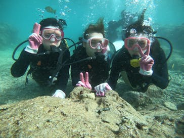 武藤潜水に投稿された画像（2021/10/2）