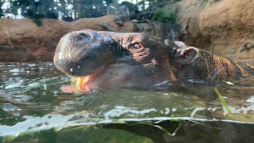 神戸どうぶつ王国に投稿された画像（2021/9/23）