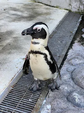 横浜・八景島シーパラダイスに投稿された画像（2021/10/2）
