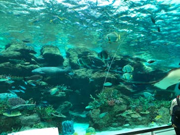 名古屋港水族館に投稿された画像（2021/10/2）